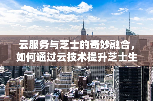 云服务与芝士的奇妙融合，如何通过云技术提升芝士生产与储存的效率？