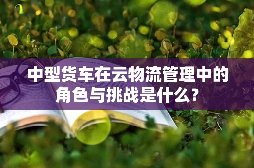 中型货车在云物流管理中的角色与挑战是什么？