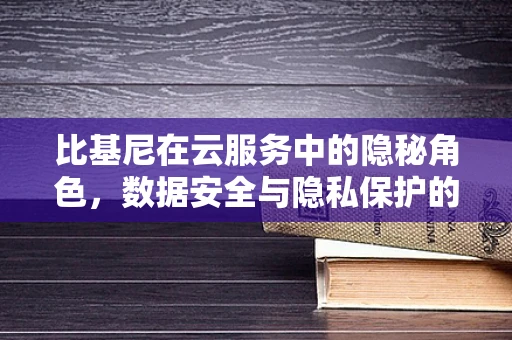 比基尼在云服务中的隐秘角色，数据安全与隐私保护的微妙平衡