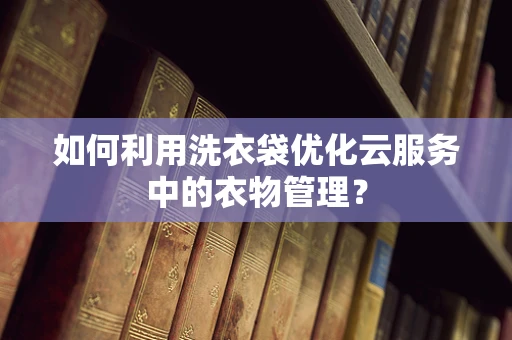 如何利用洗衣袋优化云服务中的衣物管理？