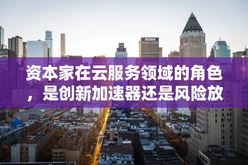 资本家在云服务领域的角色，是创新加速器还是风险放大器？