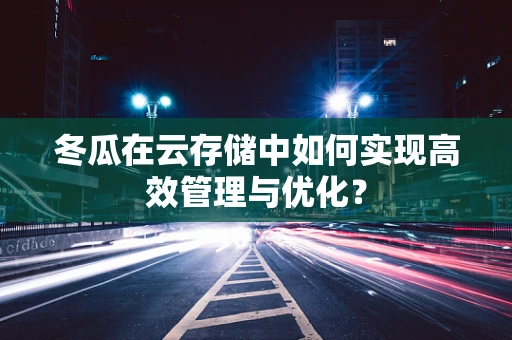 冬瓜在云存储中如何实现高效管理与优化？