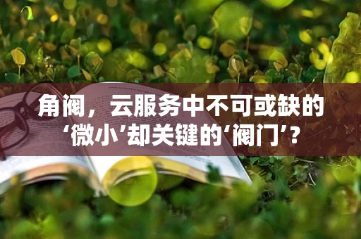 角阀，云服务中不可或缺的‘微小’却关键的‘阀门’？